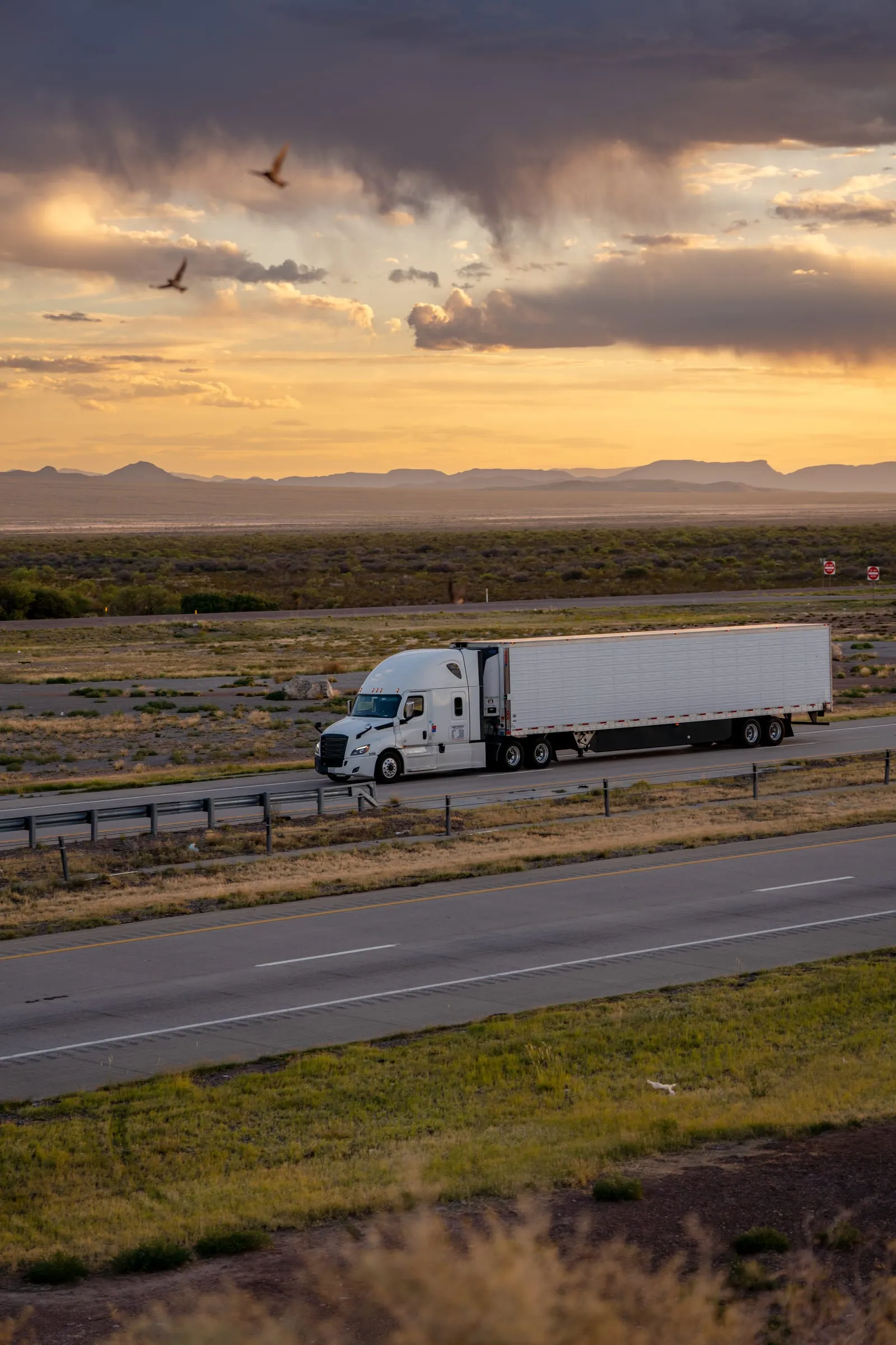White Semi Truck on the Interstate at Sunset with Birds Overhead