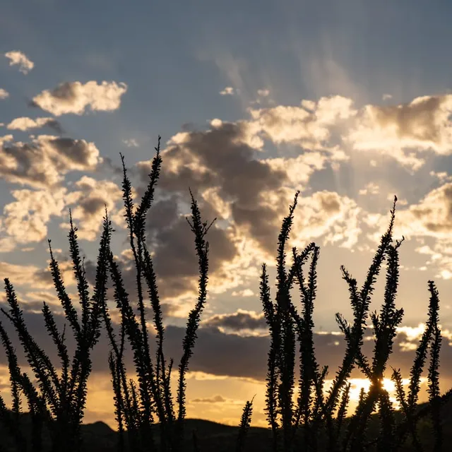 West Texas Landscape