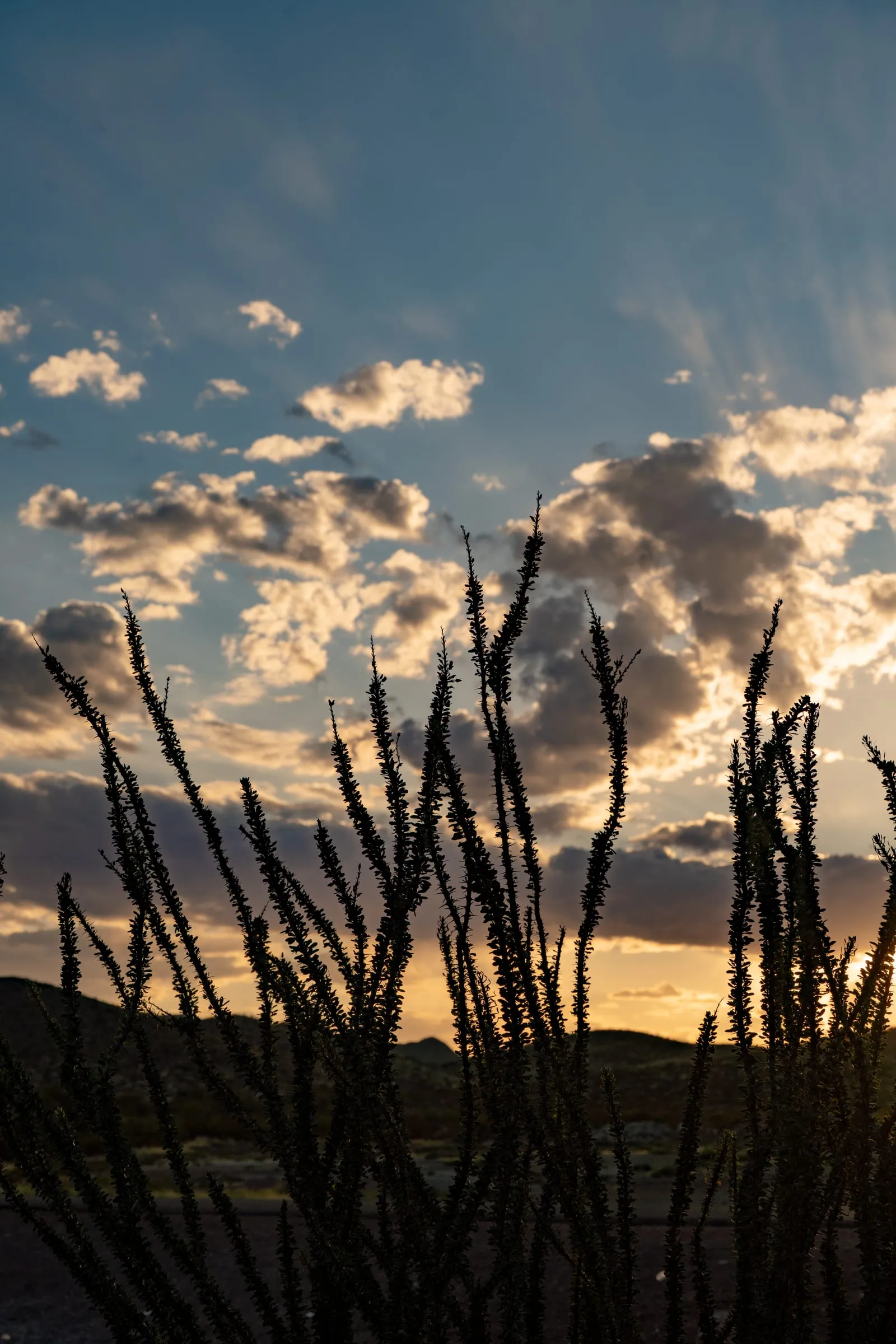 West Texas Landscape