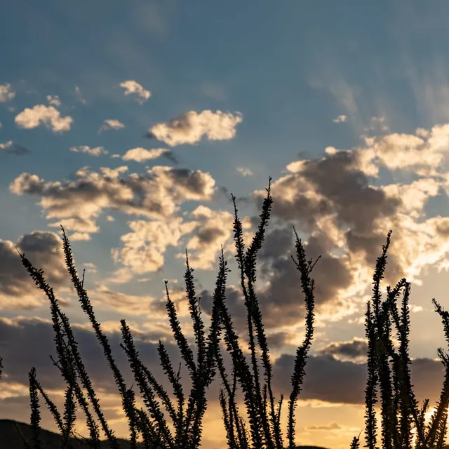 West Texas Landscape