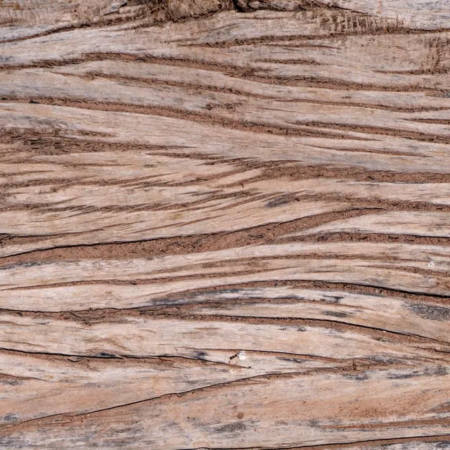 Wood Texture Desert West Texas