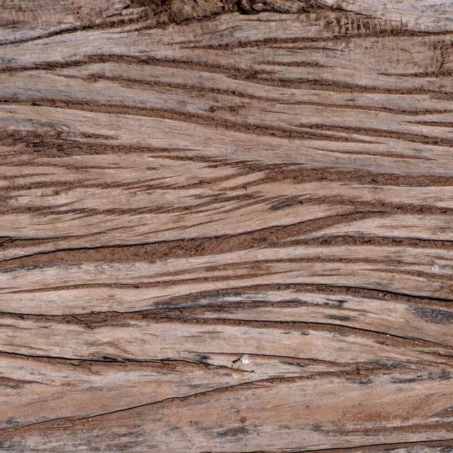 Wood Texture Desert West Texas