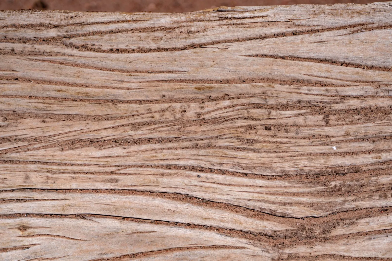 Wood Texture Desert West Texas