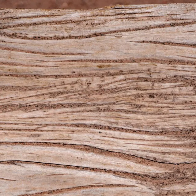 Wood Texture Desert West Texas